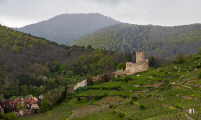 Le Schlossberg, château fort impérial qui domine la ville de Kaysersberg, CeA, Alsace, Grand Est, France