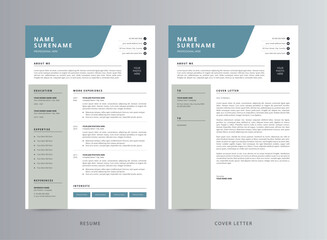 Professional Modern Resume Template, CV Template