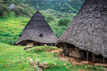 Fototapeta na wymiar panoramic view of wae rebo village, indonesia