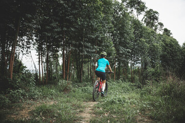 Fototapeta premium Riding bike in spring forest