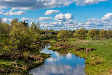 Obraz premium Springtime forest with trees with young green leaves. Aerial spring landscape. Rural scene.