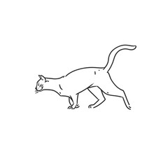 Hand drawn vector abstract graphic line art collection with adorable cute funny cartoon cat character.Vector illustration of funny cartoon outline cat in trendy line style. Drawing line art cat icon.