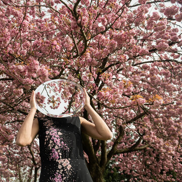 abstract portrait of woman with round mirror under cherry blossom tree in spring