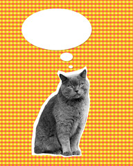 British shorthair cat thought bubble design. Digital collage art.Сheckered background.
