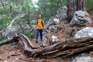 Adventure and travel. a little boy with a backpack is walking along a forest path. hiking with...