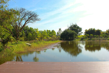 Wooden floor beside the lake with blue sky background.