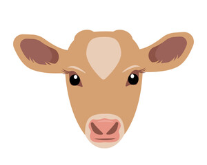 Calf head icon. Cute Baby cow face. Dairy cattle. Farm animal. Vector flat or cartoon illustration icon isolated on white backfround.