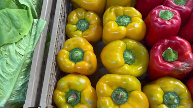 fresh red and yellow peppers and green salad for a a healthy vegan food