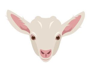 White kid or goatling face. Cute Domestic Farm baby animal head icon isolated on white background. Education nature Vector flat or cartoon illustration.
