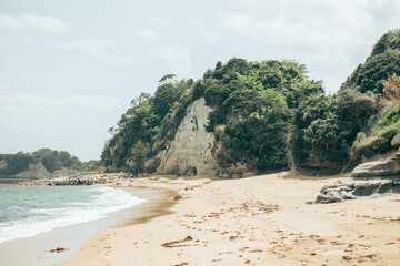 海