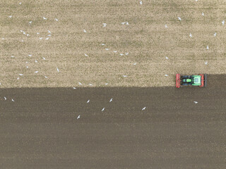 Obraz premium Aerial footage. Farmer seeding, Plowing ground, cultivated farm field, agriculture. Seeding