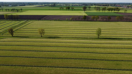 Drone shot of a fence and green grass in Belgium