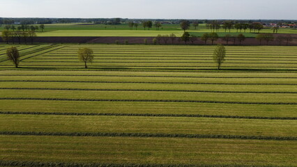 Drone shot of a fence and green grass in Belgium