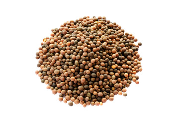 Heap of wiki seeds isolated on white background, top view. Wiki seed pile, top view. Dry wiki seeds close up, background, texture, top view. Vicia sativa isolated on white background, top view.