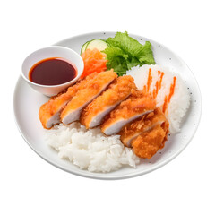 Crispy Katsu chicken with sauce and rice