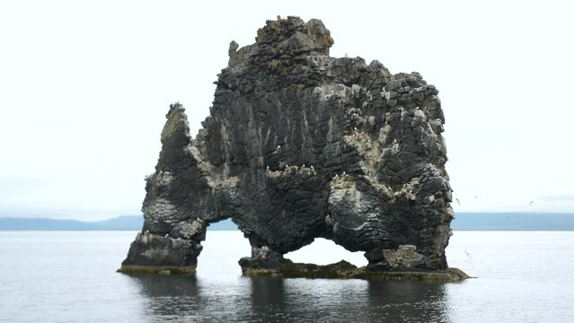 Hvitserkur rock or arch in the ocean. Cliffs and landscape in Iceland. High quality 4k footage.