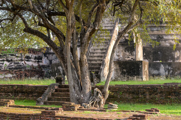 Wat Phra Si Sanphet "Temple of the Holy, Splendid Omniscient“ was the holiest temple on the site of the old Royal Palace in Thailand's ancient capital of Ayutthaya
