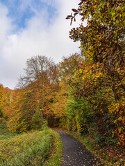 Landschaft im Herbst in der Feldberger Seenlandschaft