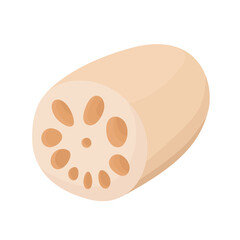 Vector illustration of lotus root.