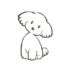 dog 22
