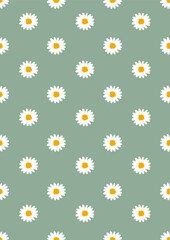 Seamless pattern with daisy Eps 10 vector. 