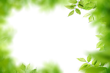 Fototapeta na wymiar Green leaves leaves with Isolate Leaves on transparent background PNG file and Leaves background frame