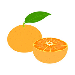 温州みかん。フラットなベクターイラスト。
Satsuma mandarin. Flat designed vector illustration.