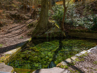 Natural water spring, Mariaspring near Göttingen, Germany