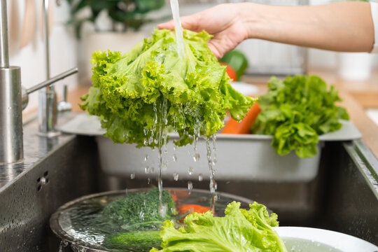 Close up hydroponic green oak lettuce, asian young woman washing fresh vegetables with splash water in basin of water on sink in kitchen, preparing fresh salad, cooking meal. Healthy food people.
