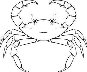 Crab vector illustration. Sea animal coloring book or page for children