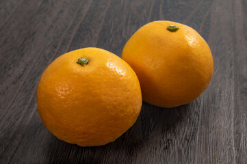 ニューサマーオレンジ