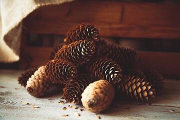 Fir cones on a wooden background.