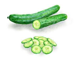 An image of sliced cucumbers, digitally generated from a watercolor painting