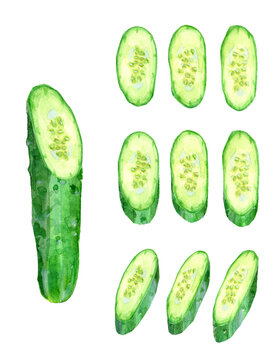 An image of sliced cucumbers, digitally generated from a watercolor painting