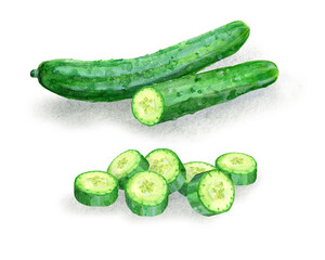 An image of sliced cucumbers, digitally generated from a watercolor painting