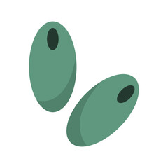 Colored black and green olives, branch olives. Vector illustration