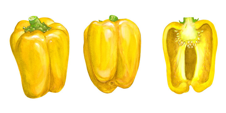An image of a yellow bell pepper and its cross section, digitally generated from a watercolor painting