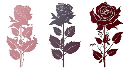 Set of decorative rose with leaves, Flower silhoutte on white background