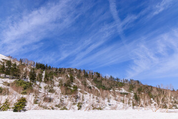 Fototapeta na wymiar 春の栂池高原の雪山と美しい青空