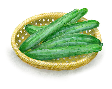 An image of fresh cucumbers in a bamboo sieve, digitally generated from a few watercolor paintings