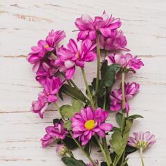 pink flowers on wooden background
