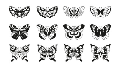 Butterfly tattoo. Black moth outlines with decorative detailing, abstract nature decorative insects. Vector doodle collection. Beautiful bugs with curly design isolated on white, wildlife