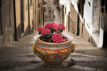 Naklejka premium Flowers in a colorful pot. Sicilian street.