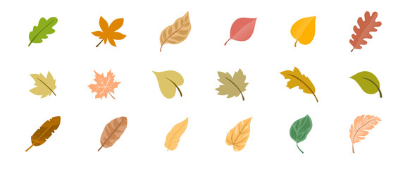 autumn leaves collection