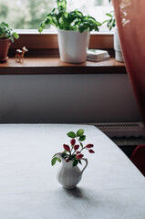 Rosehip branches in a ceramic vase on the table.