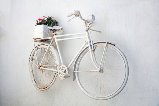 White old rusty bike with mallow plant in pot on whitewashed wall background. Greece Cyclades island