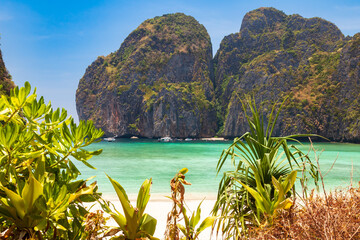 The legendary Maya Bay beach without people where the film 