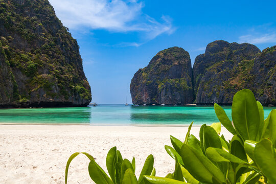 The legendary Maya Bay beach without people where the film "beach" with Leonardo DiCaprio was filmed with a beautiful bay of sand and clear turquoise water. UNESCO World Heritage.