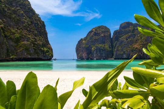 The legendary Maya Bay beach without people where the film "beach" with Leonardo DiCaprio was filmed with a beautiful bay of sand and clear turquoise water. UNESCO World Heritage.