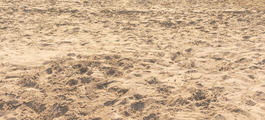 Sand texture, sand background for web site or mobile devices. Sand background